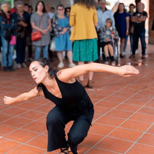Danses baratinées