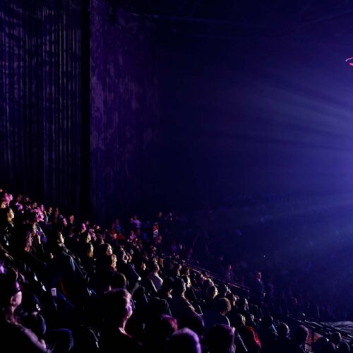 Nuit du cirque