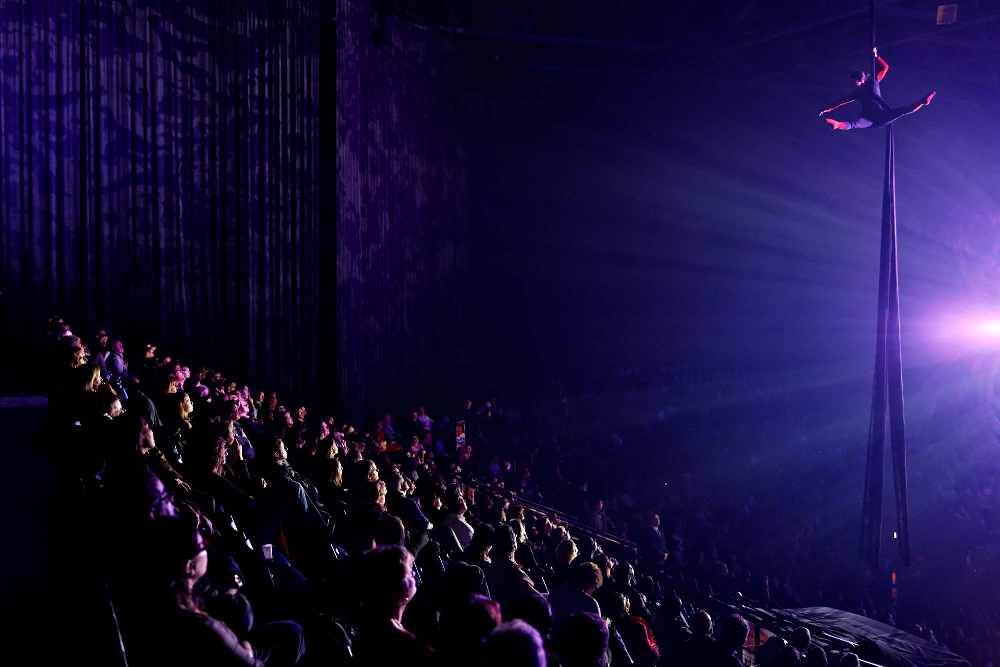 Nuit du cirque